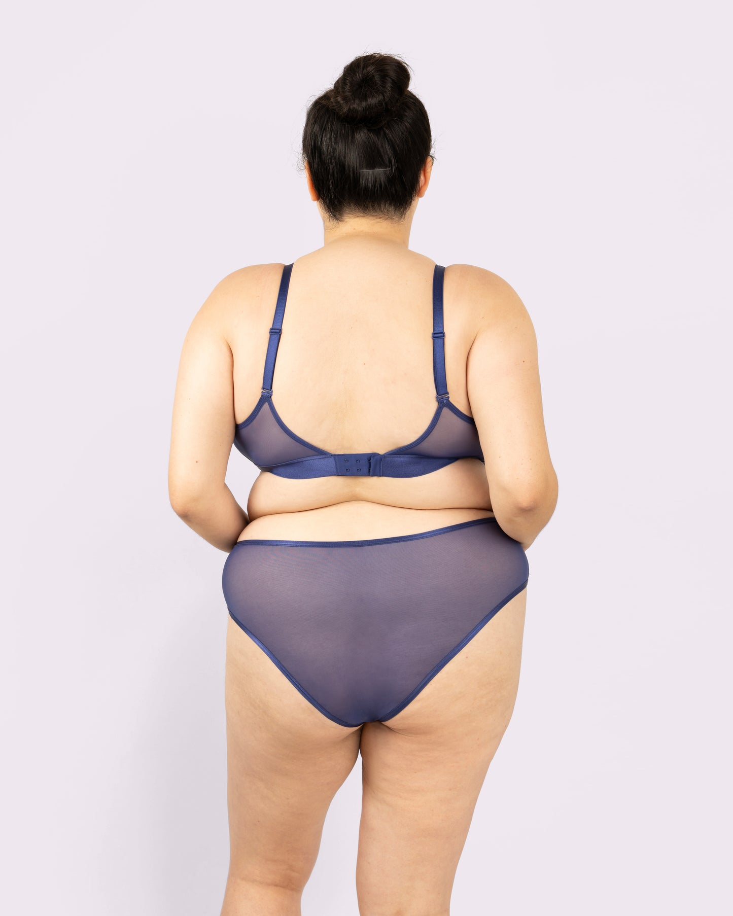 High Rise Cheeky | Silky Mesh (Dolphin)