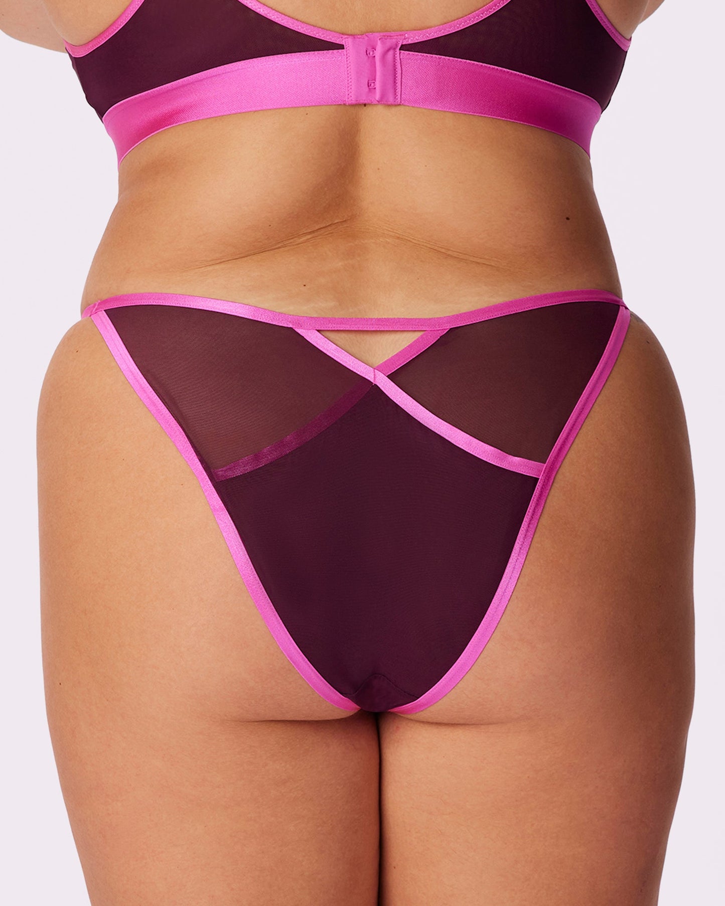 Strappy Cheeky with Cutout | Silky Mesh (Venus)
